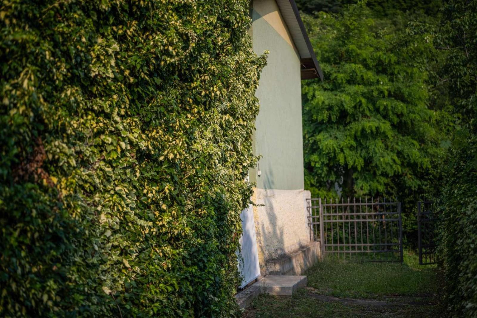 Vacation Home Rot Ohrid Exterior photo